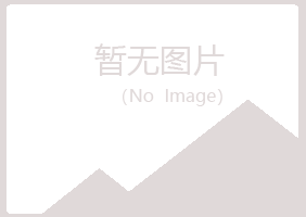 广东女孩能源有限公司